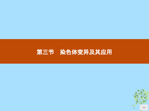 高中生物苏教版必修2课件3.3 染色体变异及其应用