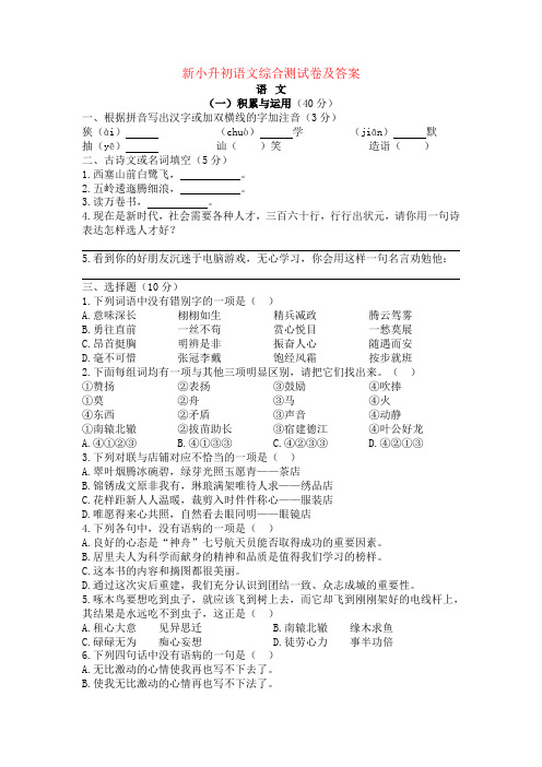 人教版小升初语文模拟试卷及参考答案