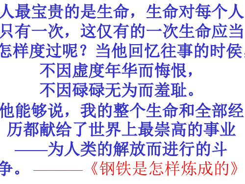 新课标人教版语文四年级下册《全神贯注》课件