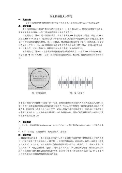 微生物细胞大小的测定方法