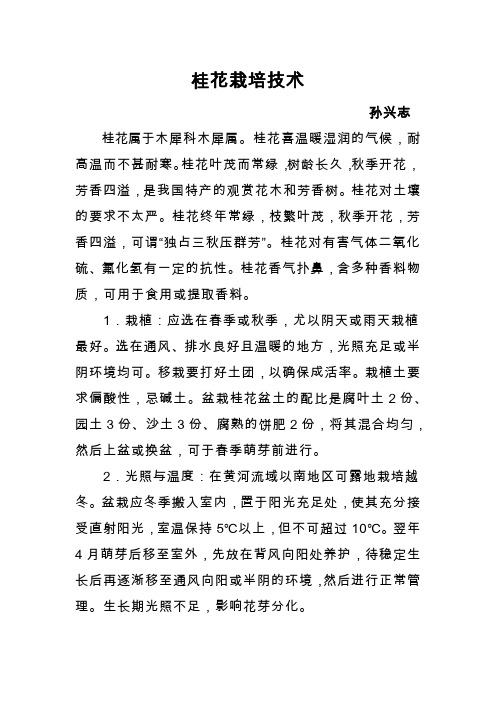 桂花栽培技术