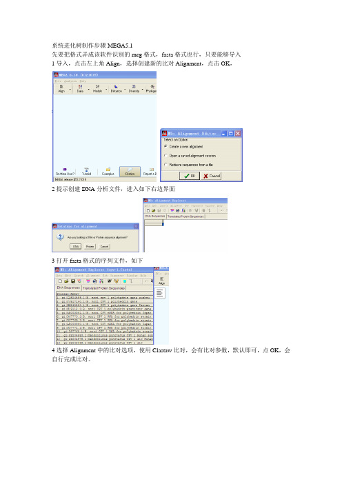 系统进化树制作步骤MEGA5.10