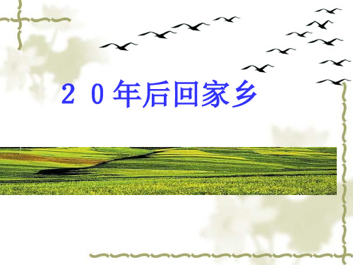 想象作文：《二十年后回故乡》省公开课获奖课件说课比赛一等奖课件