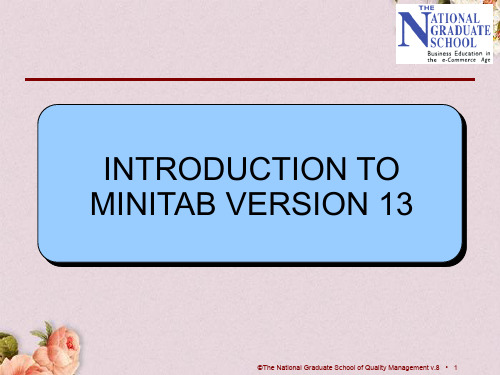 QSM 754 MINITAB POWERPOINT SLIDES V8(英文PPT 133页)