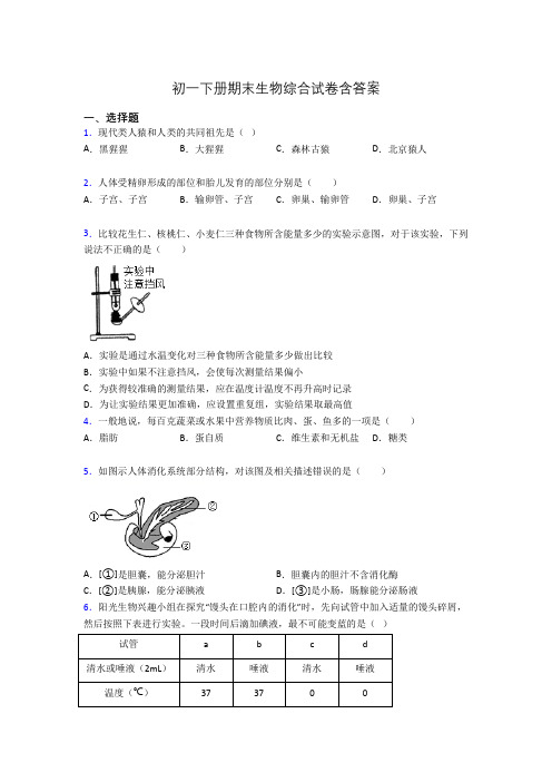 初一下册期末生物综合试卷含答案