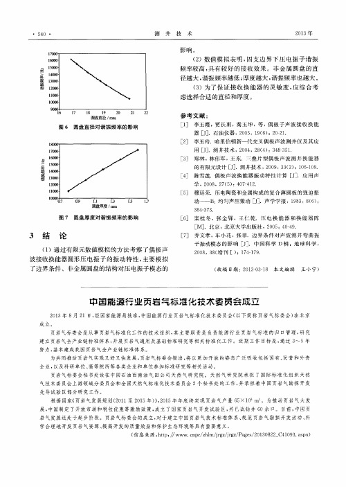 中国能源行业页岩气标准化技木委员会成立