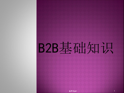 B2B基础知识ppt课件