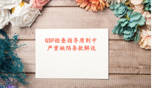 GSP现场指导原则严重条款培训资料