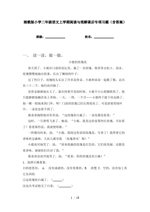 湘教版小学二年级语文上学期阅读与理解课后专项习题(含答案)