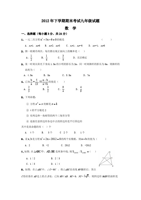 2012年下学期期末考试九年级试题.doc