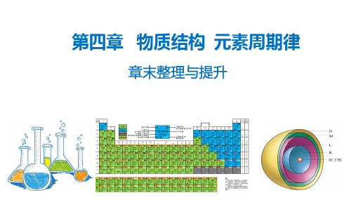 第四章 物质结构  元素周期律(章末整理与提升)(人教版2019必修第一册)