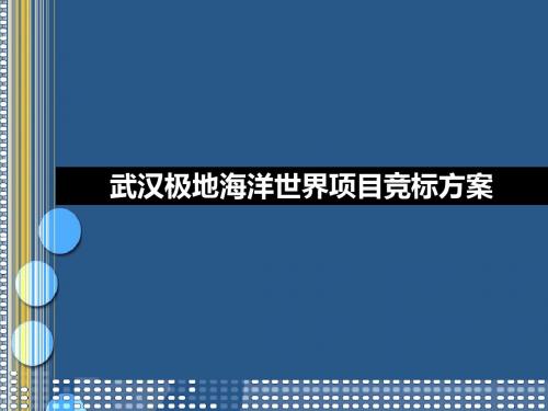 武汉极地海洋世界的项目营销的的策划的方案-文档资料