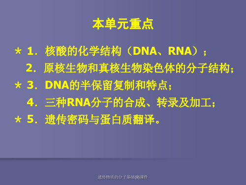 遗传物质的分子基础9课件