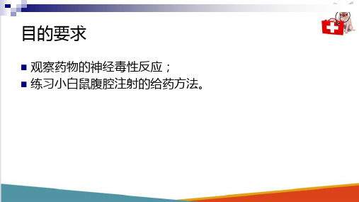 药理实操内容—链霉素对神经肌肉传导阻滞作用的观察(动物药理学课件)