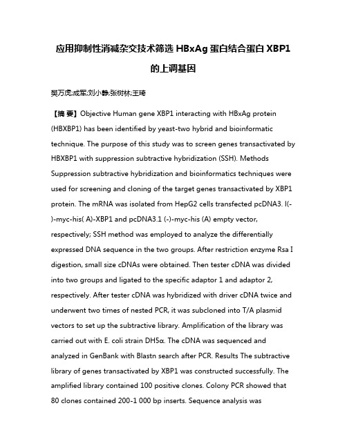 应用抑制性消减杂交技术筛选HBxAg蛋白结合蛋白XBP1的上调基因