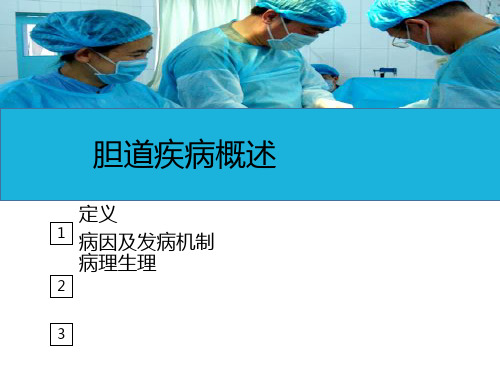 腹部疾病病人的护理—胆道疾病病人的护理(护理课件)