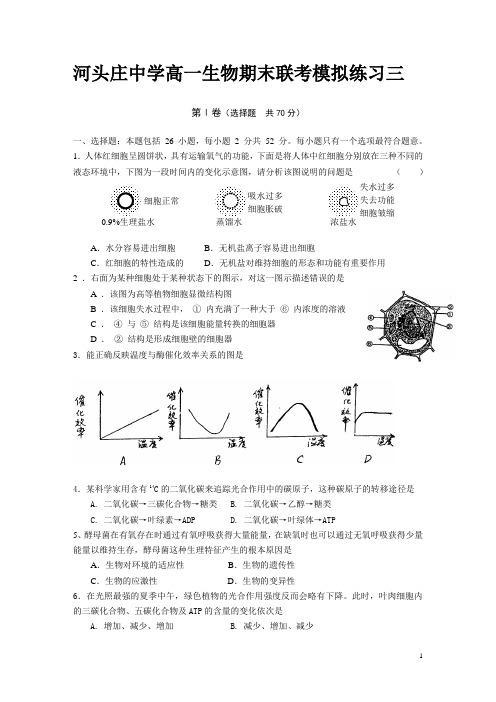 期末联考模拟练习三