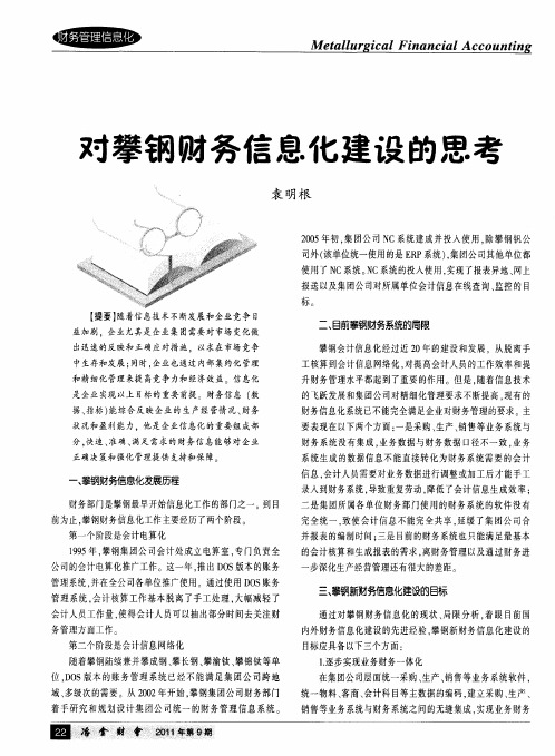 对攀钢财务信息化建设的思考