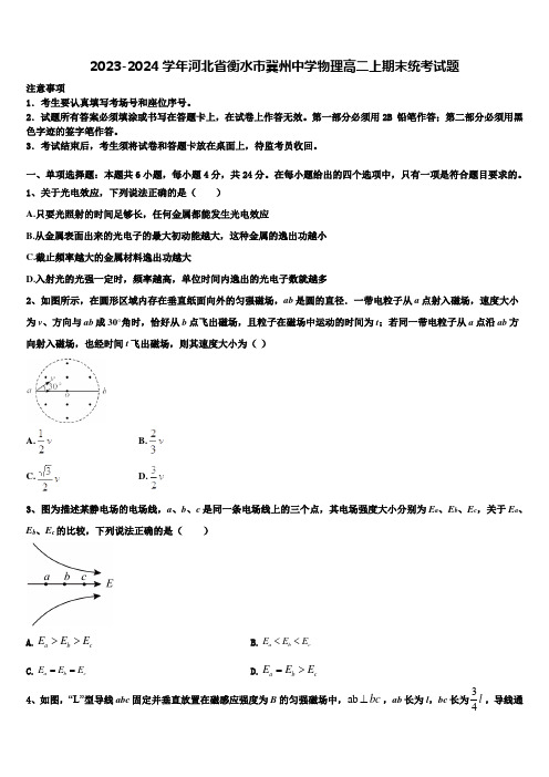 2023-2024学年河北省衡水市冀州中学物理高二上期末统考试题含解析