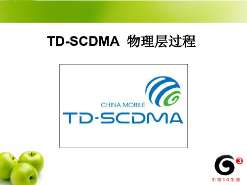 TD-SCDMA 物理层过程