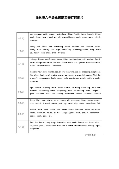 译林版六年级单词默写表打印图片