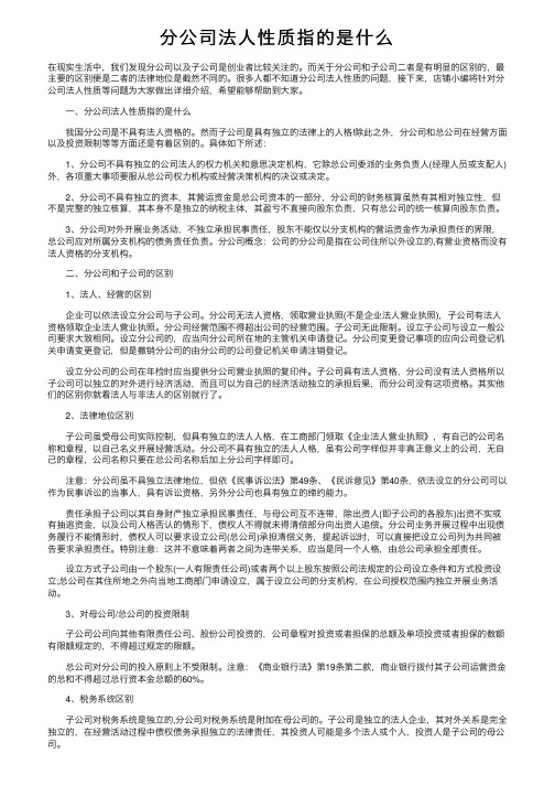 分公司法人性质指的是什么