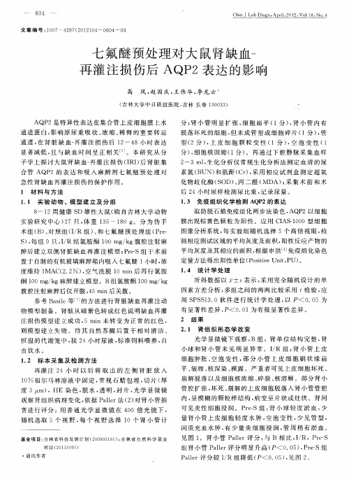 七氟醚预处理对大鼠肾缺血-再灌注损伤后AQP2表达的影响