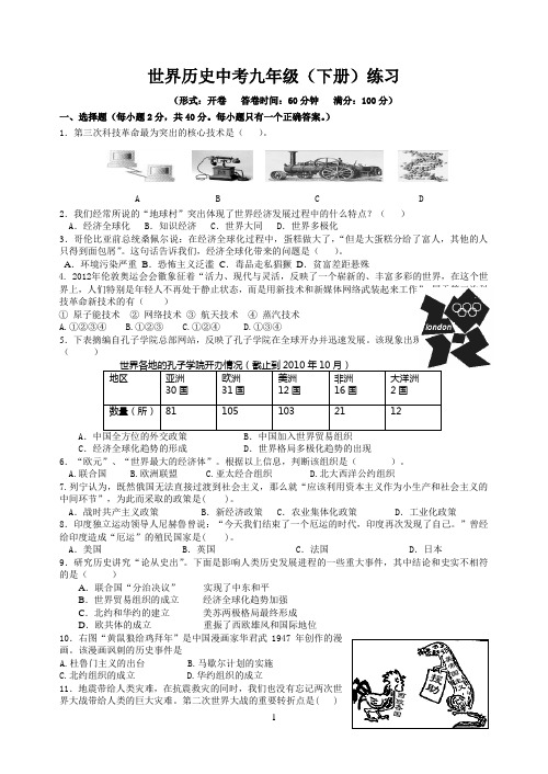 世界历史中考九年级下册练习