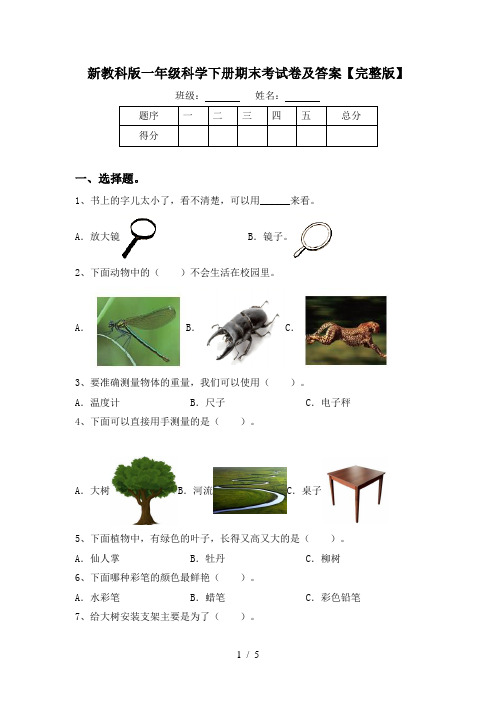 新教科版一年级科学下册期末考试卷及答案【完整版】