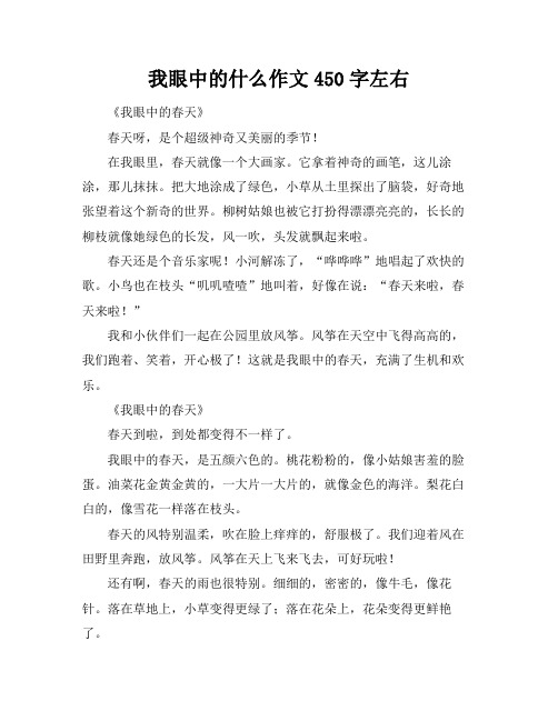 我眼中的什么作文450字左右