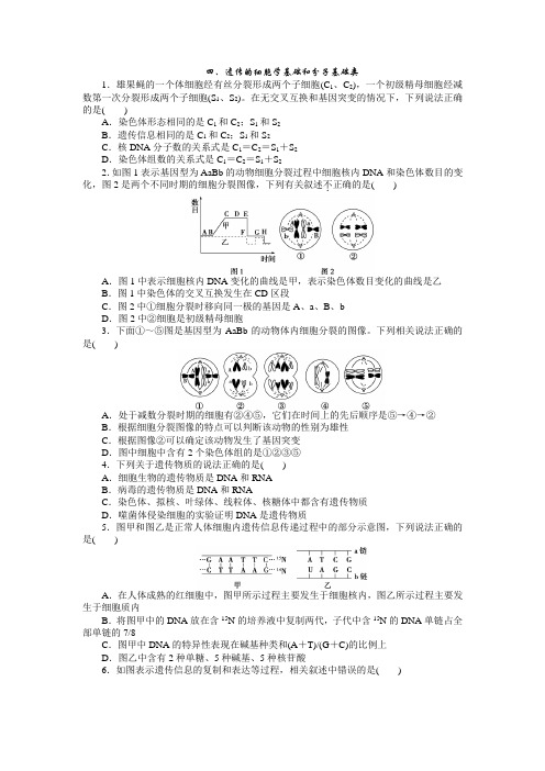 2015版高考第二轮总复习生物(渝闽专用)特色专项训练二四、遗传的细胞学基础和分子基础类