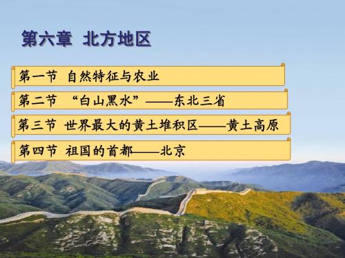 新人教版地理八年级第六章第一节自然特征与农业