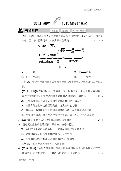 【华师大版】科学中考一轮测评：第11课时-代代相传的生命-当堂测评(含答案)