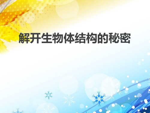 《解开生物体结构的秘密》PPT