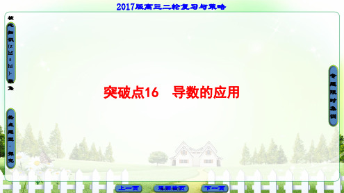 2017高考数学(浙江专版)二轮复习与策略课件-专题16-导数的应用(共60张)