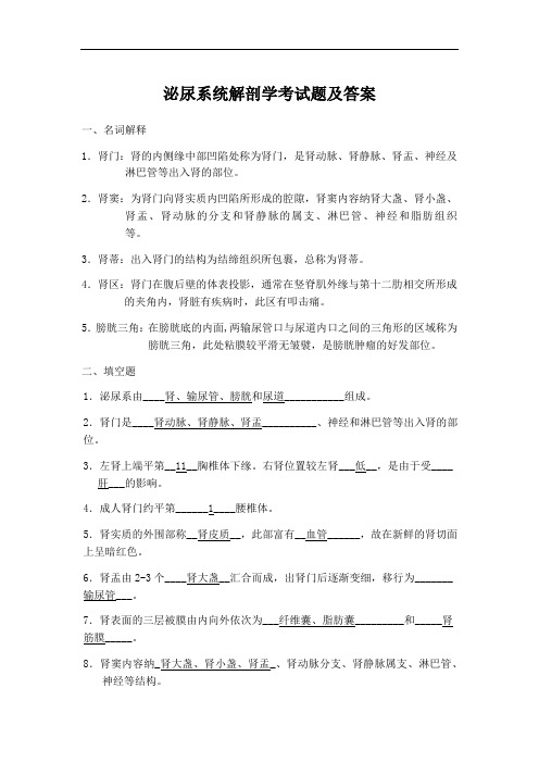 泌尿系统解剖学考试题及答案