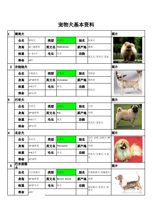 宠物犬基本资料