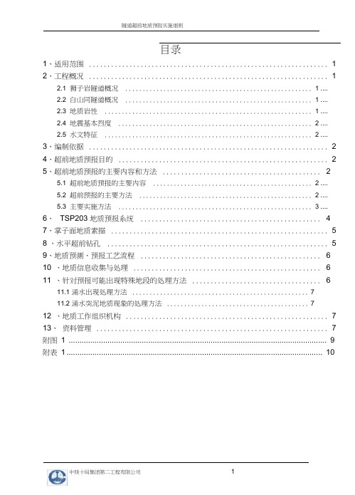 超前地质预报实施细则(经典版)