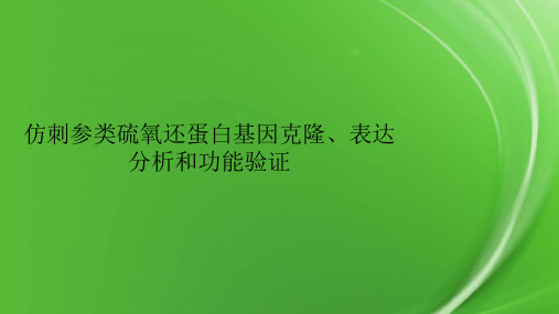 仿刺参类硫氧还蛋白基因克隆、表达分析和功能验证.pptx