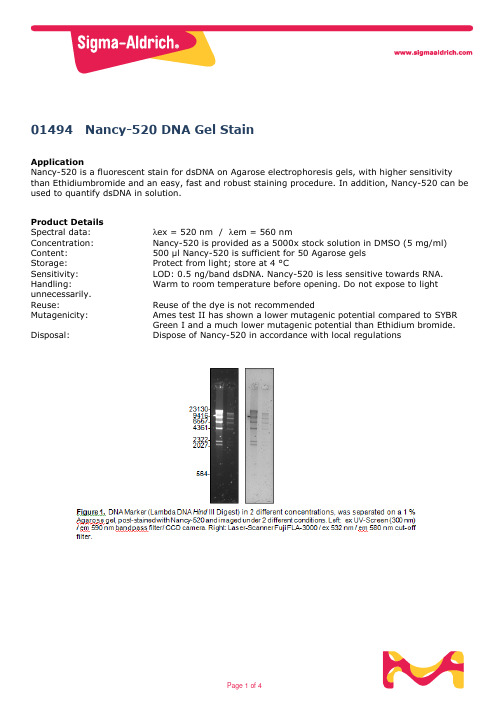 Nancy-520 DNA Gel Stain 产品说明书