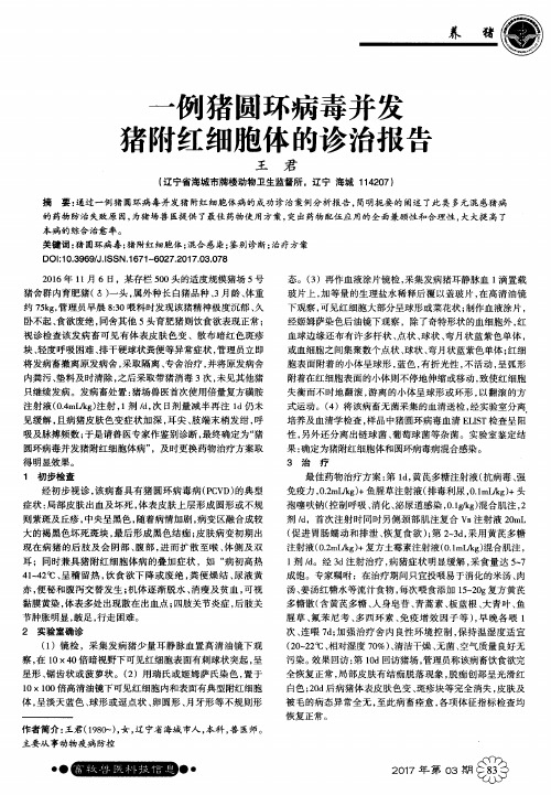 一例猪圆环病毒并发猪附红细胞体的诊治报告