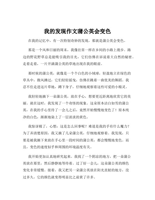 我的发现作文蒲公英会变色