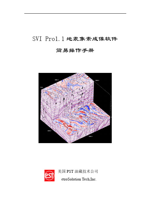 SVI_简易操作手册