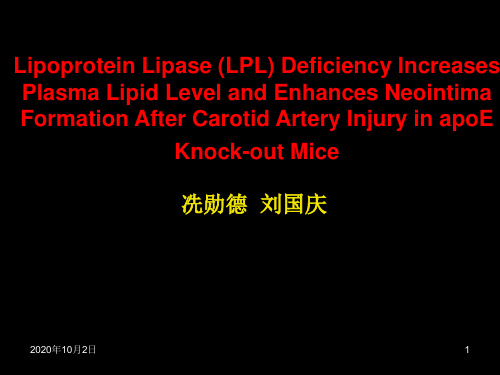 建立基因敲除小鼠颈动脉粥样硬化模型PPT课件