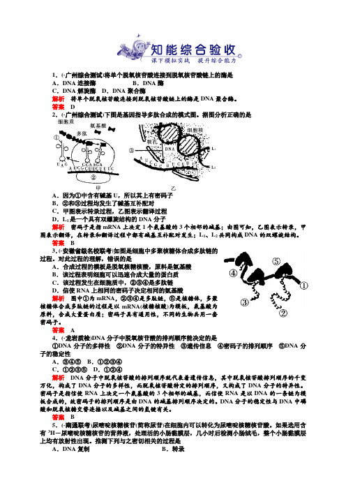 高考生物第一轮课本知识整合复习9.doc