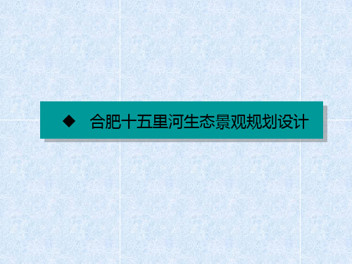 滨水区景观规划设计的功能定位——案例1