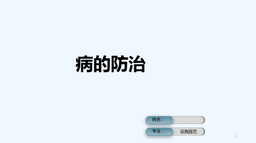 白粉病的防治 PPT