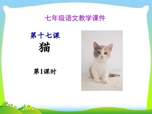 第十七课--猫优质课件PPT