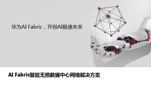 AI-Fabric智能无损数据中心网络解决方案