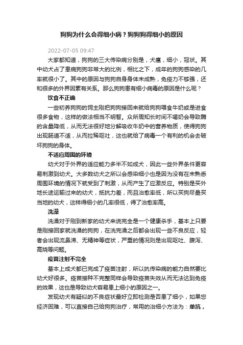 狗狗为什么会得细小病？狗狗狗得细小的原因